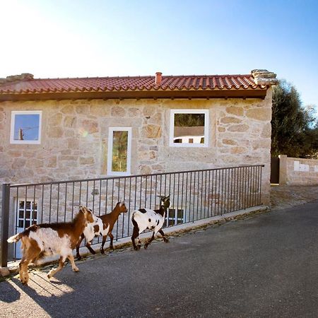 Tio Ze - Casas De Selim Villa Arcos de Valdevez Exterior photo